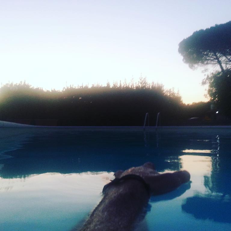 Agriturismo Casale Zuccari カプラローラ エクステリア 写真