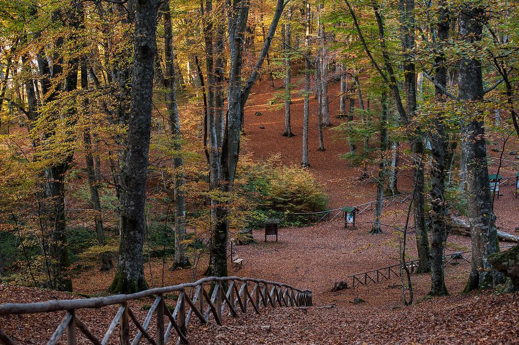 Agriturismo Casale Zuccari カプラローラ エクステリア 写真